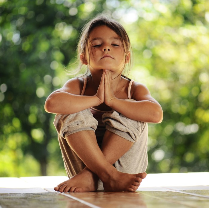 Meditation meditator