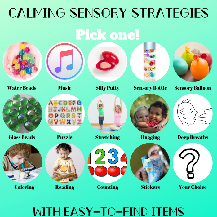 Calming thepathway2success strategies regulation