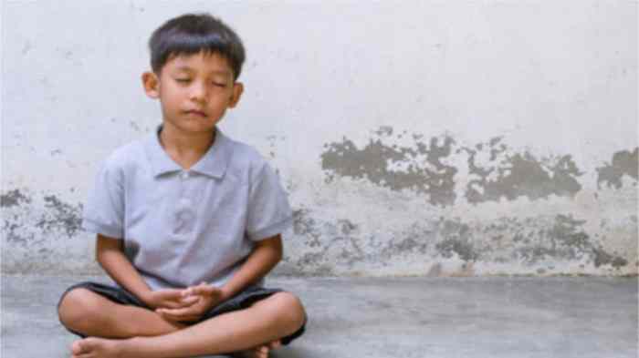 Mindfulness meditation steps suggest correction