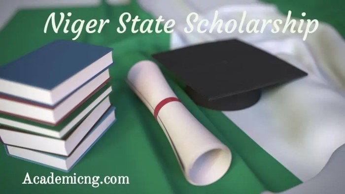 Borno State Scholarship Application Form 2025: 5 Things You Need to Prepare