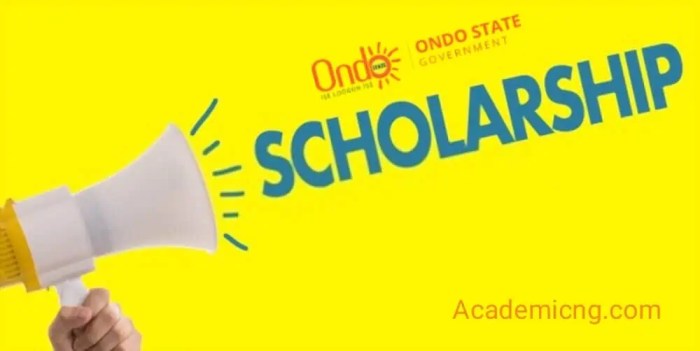 Borno State Scholarship Application Form 2025: 5 Things You Need to Prepare