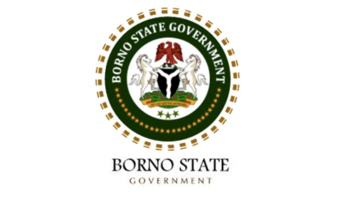 Borno State Scholarship 2025: 5 Tips to Maximize Your Chances