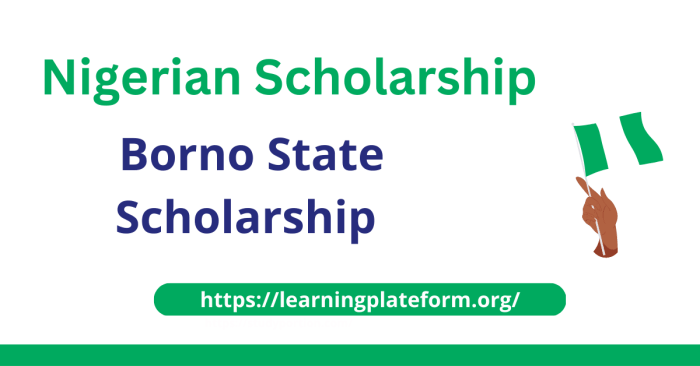 Borno State Scholarship 2025: 6 Steps to Increase Your Chances of Approval