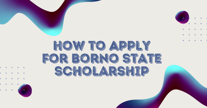 Borno State Scholarship 2025: 6 Strategies to Improve Your Chances