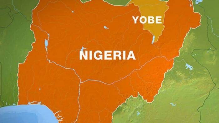 Yobe State Scholarship Board 2025: 6 Easy Steps to Apply Successfully