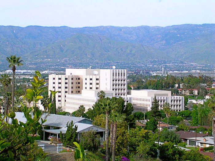 Loma Linda University Health Education Consortium: 6 Benefits for Students