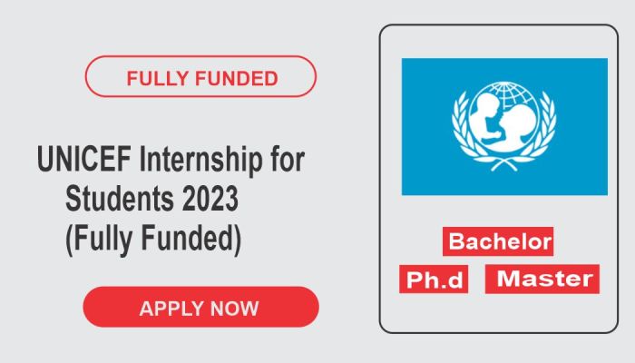 UNICEF Scholarships for African Students: 7 Programs You Can Apply for in 2025