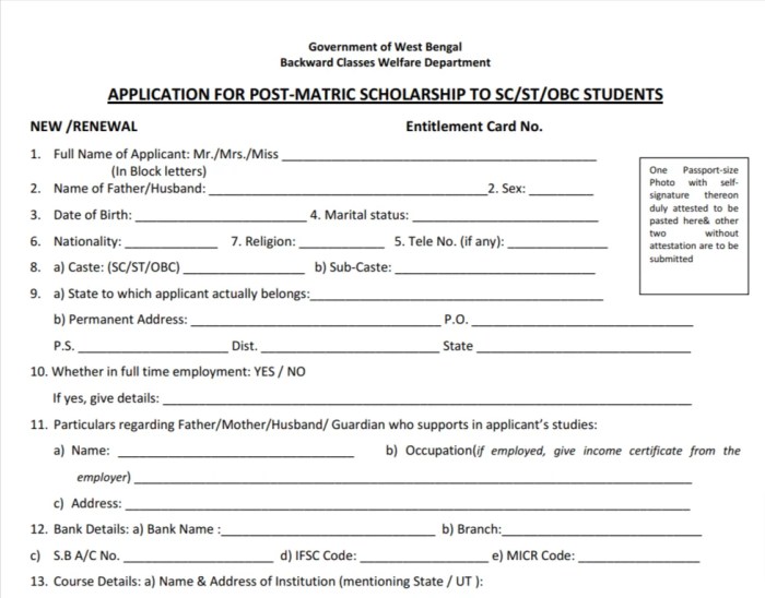 Borno State Scholarship Application Form 2025: 6 Steps to Apply Successfully