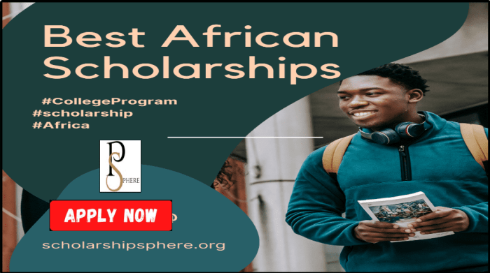 Top 10 UNICEF Scholarships for African Students in 2025 (Apply Now!)