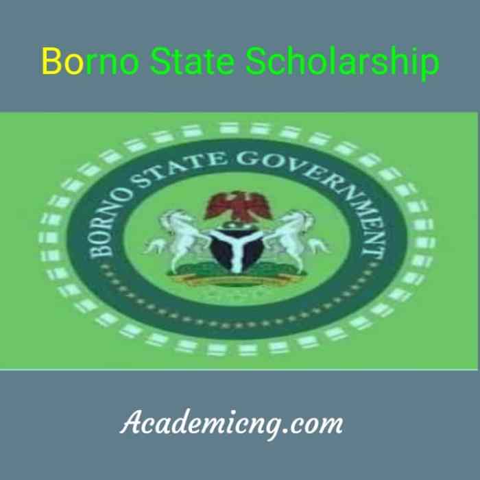 Borno State Scholarship 2025: 6 Strategies to Improve Your Chances