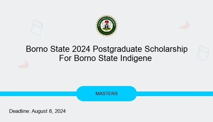 Borno State Scholarship 2025: 6 Expert Tips for Securing Your Spot