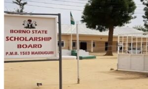 Borno State Scholarship 2025: 5 Tips to Maximize Your Chances