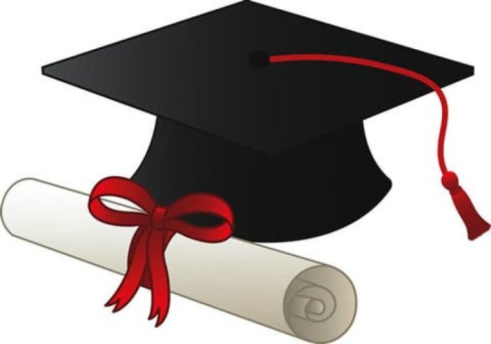 Borno State Scholarship 2025: 6 Expert Tips for Securing Your Spot