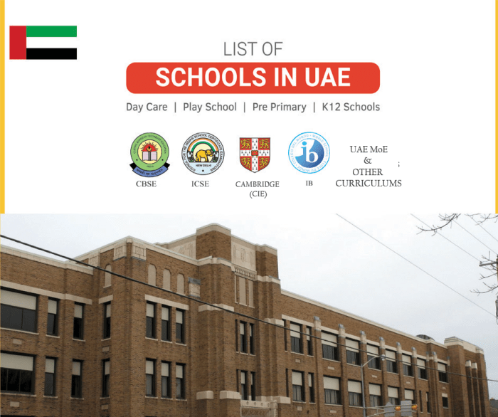 Best 7 Universities in the UAE for International Students (2025 Edition)