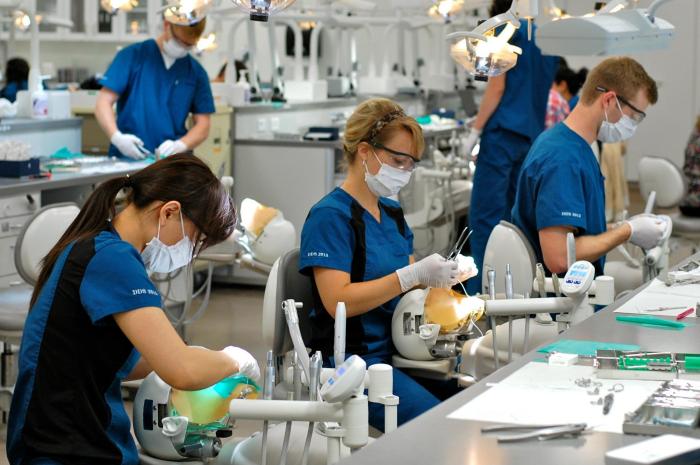 Best Dentistry Schools in Lebanon: 6 Universities to Consider in 2025