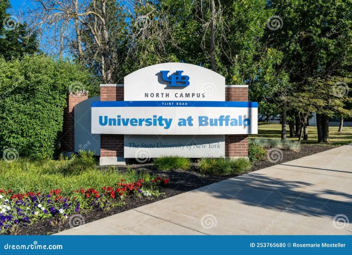 University of Buffalo DSW Program: 7 Reasons It’s a Smart Career Move